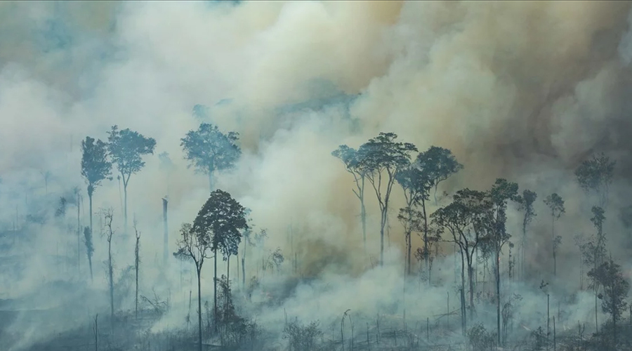 El Amazonas en llamas