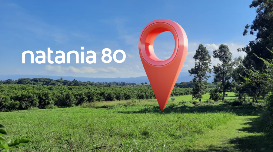 Tucumán: ¡Les presentamos a Natania 80!